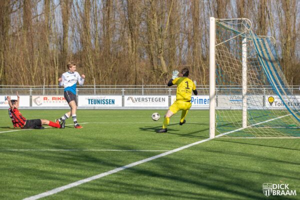DDV1-DVSG1-4985